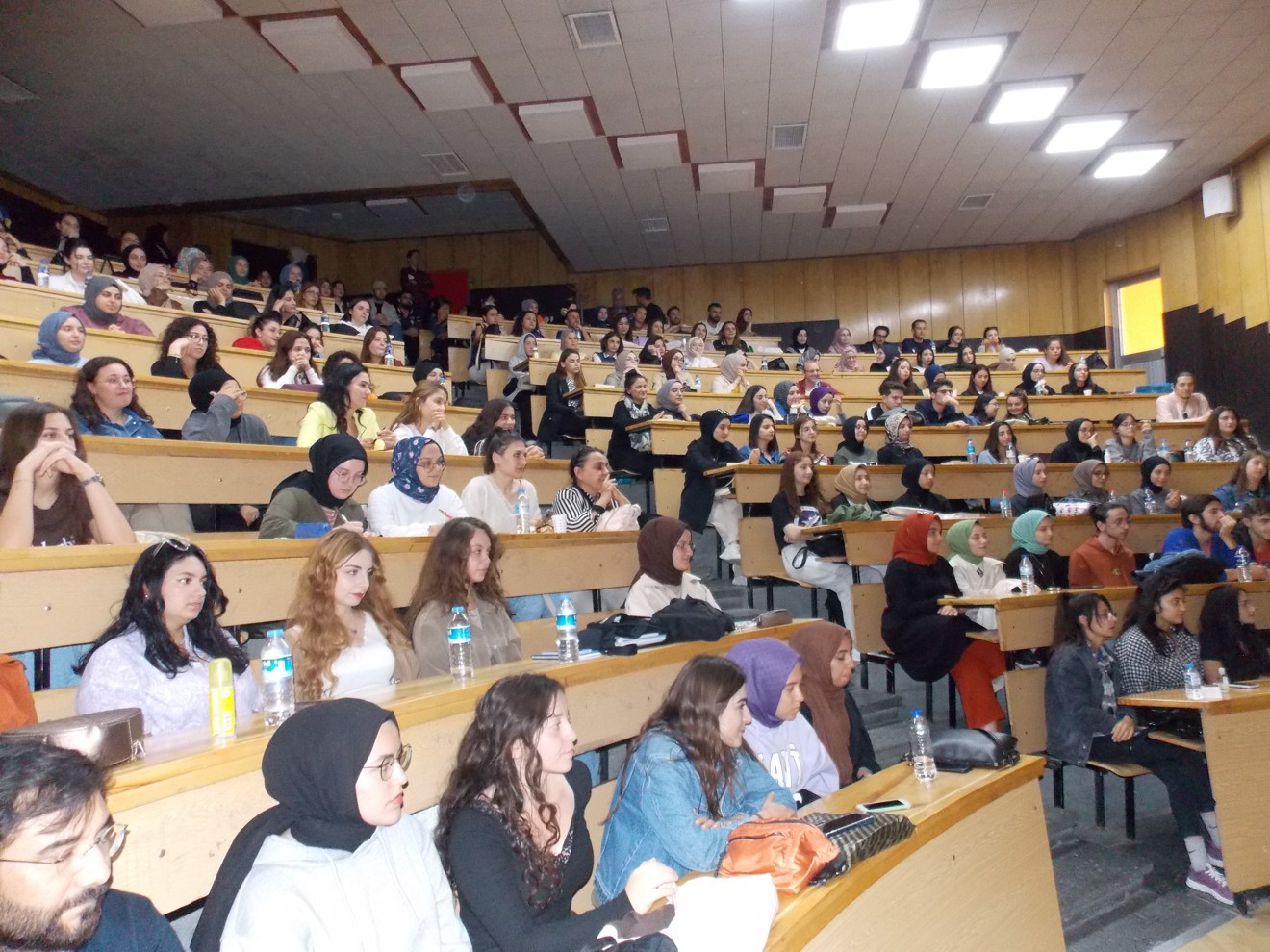Mesleki ve entelektüel bir ilgi alanı olarak sosyoloji